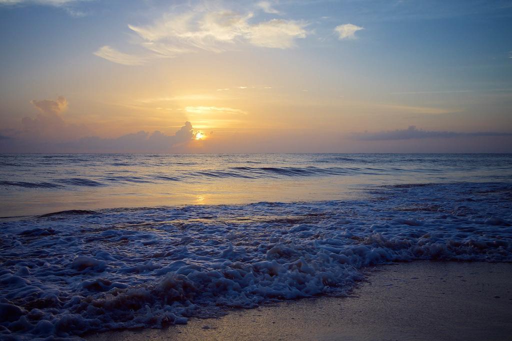 Punta Piedra Beach Posada Tulum Chambre photo